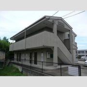 ベルの木の外観画像