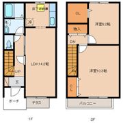 ドルフコートの間取り画像