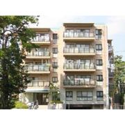 グランフェルティ東灘住吉川の外観画像