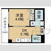 TERASU仙台の間取り画像