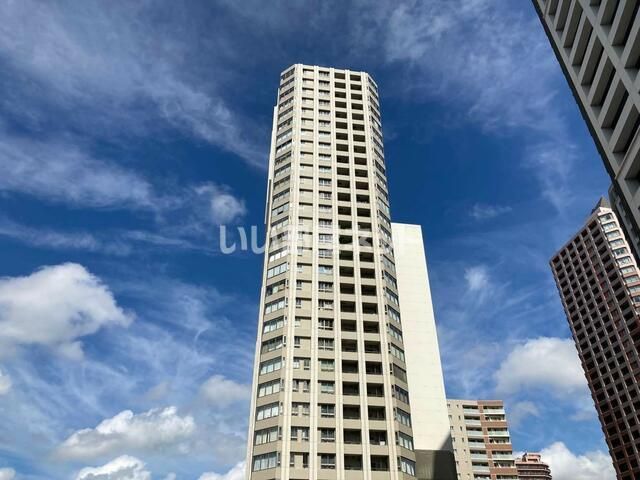 ザ・ハシモト タワーの外観画像