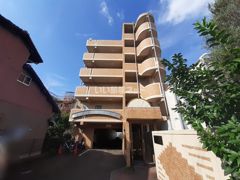 Green Coatの外観画像