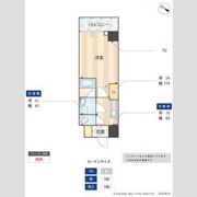 Alivis東瑞江の間取り画像