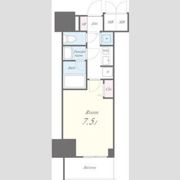 セイワパレス丸の内駅前プレミアの間取り画像
