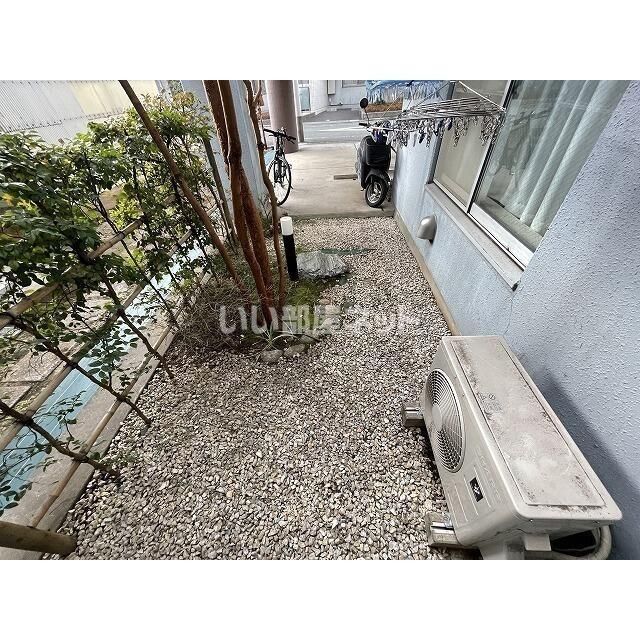 庭