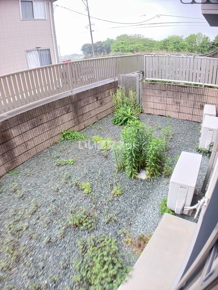 庭