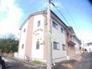 わんだふるコートの外観