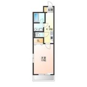 ロイヤル金信Ⅳの間取り画像