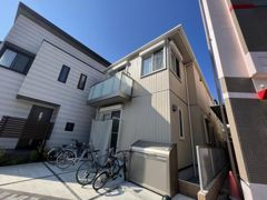 アシリア染の外観画像