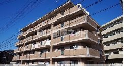 ドミール平和の外観画像