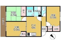 メゾンゼルカバBの間取り画像