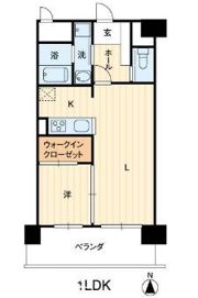 アルファレガロ高松駅前の間取り画像