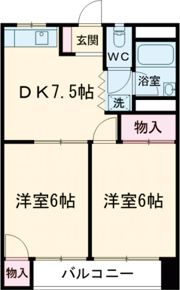 アベニューハイツ石川の間取り画像