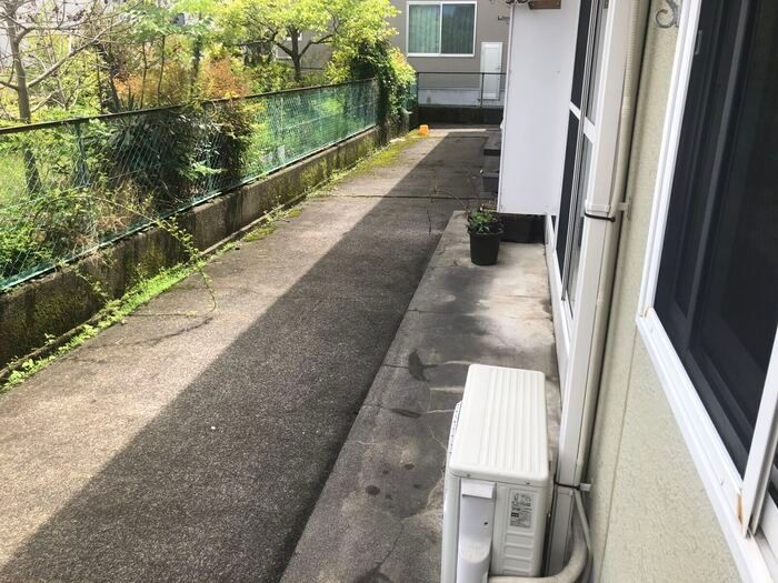 庭