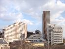 グランオーパス C棟の間取り画像