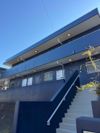 緑と海辺のフロレッタの外観画像