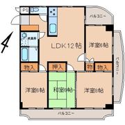 ビアン本間 Ⅱの間取り画像