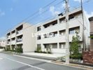 アルビオン コートの外観