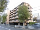 千里山アカシヤハイツの間取り画像