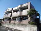 ローズガーデン青山の間取り画像