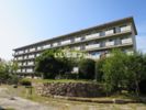 ヴィラナリー屋島4号棟の間取り画像