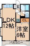 ゴールデン パレスの間取り画像