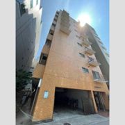 ライオンズプラザ亀戸の外観画像