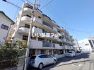 平塚ダイカンプラザⅡ号館の間取り画像