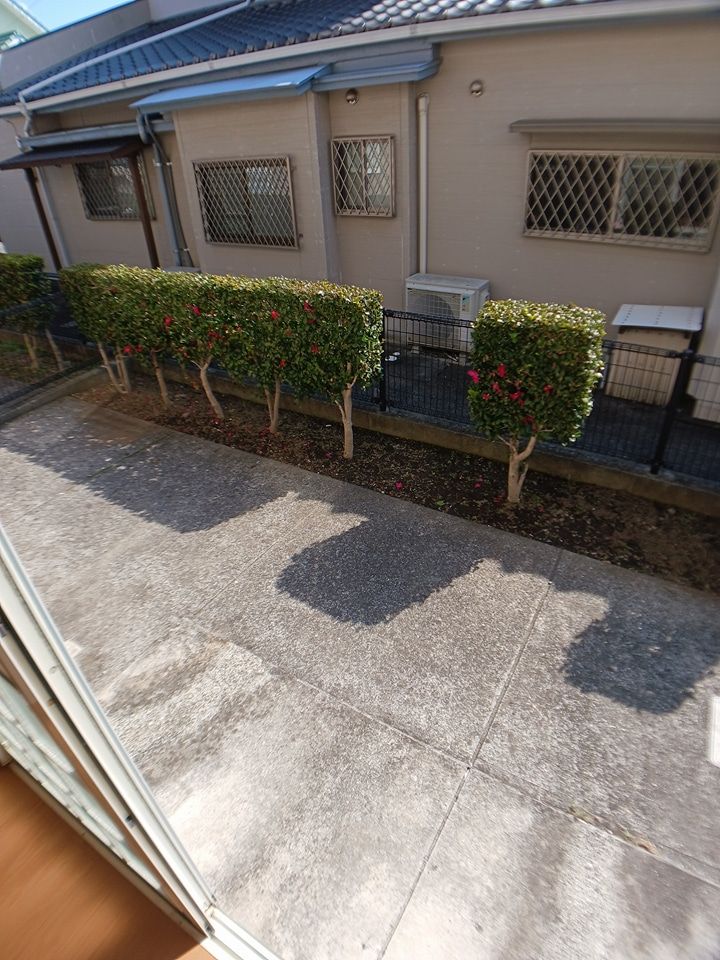 庭