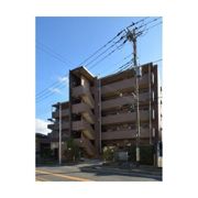 オキザリスの外観画像