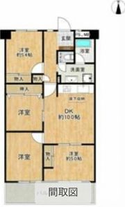 ニュー堀田サンハイツの間取り画像