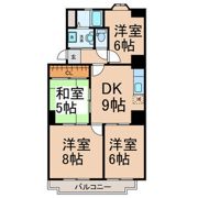 フロイデ小賀須の間取り画像