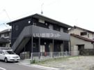 双葉ハイツの間取り画像