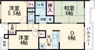 日神パレステージ福生の間取り画像