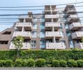 レックス多摩川レジデンスの間取り画像