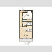 パルメゾン新田東の間取り画像
