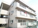 アメニクスMの間取り画像