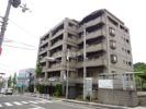 ルナドームの外観