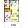 カーサ セレスの間取り画像