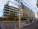 パークホームズ茅ヶ崎中央公園の間取り画像