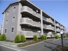 レジデンスつくほの間取り画像