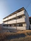 オリエンタルマンションⅡの間取り画像