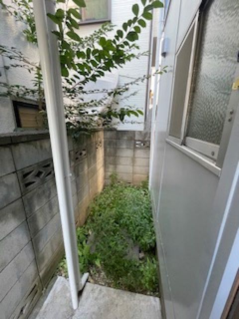 庭