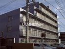 白樺マンションの間取り画像