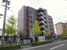 TNRの外観