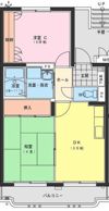 ジェネシス大島Dの間取り画像