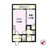ディアコート大橋の間取り画像