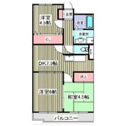 センターヒル橘の間取り画像
