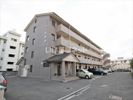 リビエール道後の間取り画像