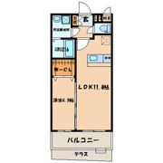ヒルズ折尾の間取り画像